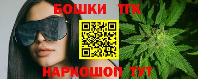 индика Пенза