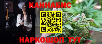 индика Пенза