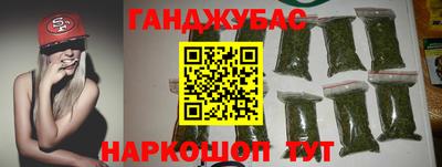 индика Пенза